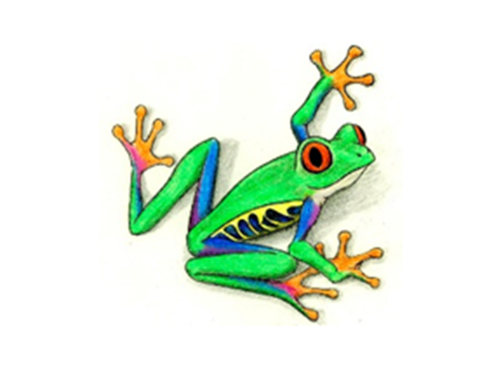 Tree Frog png