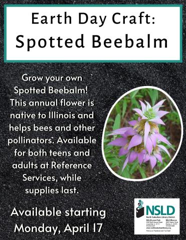 Spotted Beebalm Craft