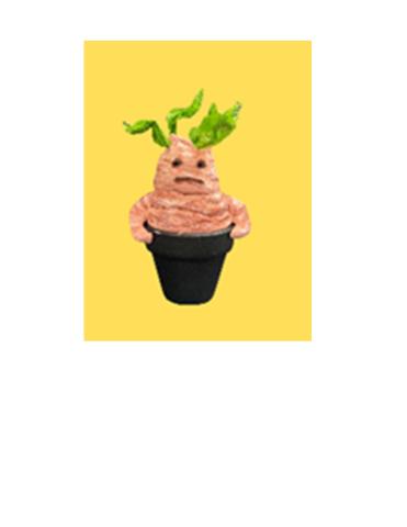 mandrake from Harry Potter