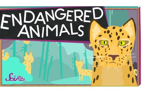 endangered animals