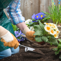 Planting Flowers