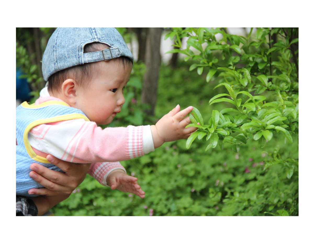 toddler nature png