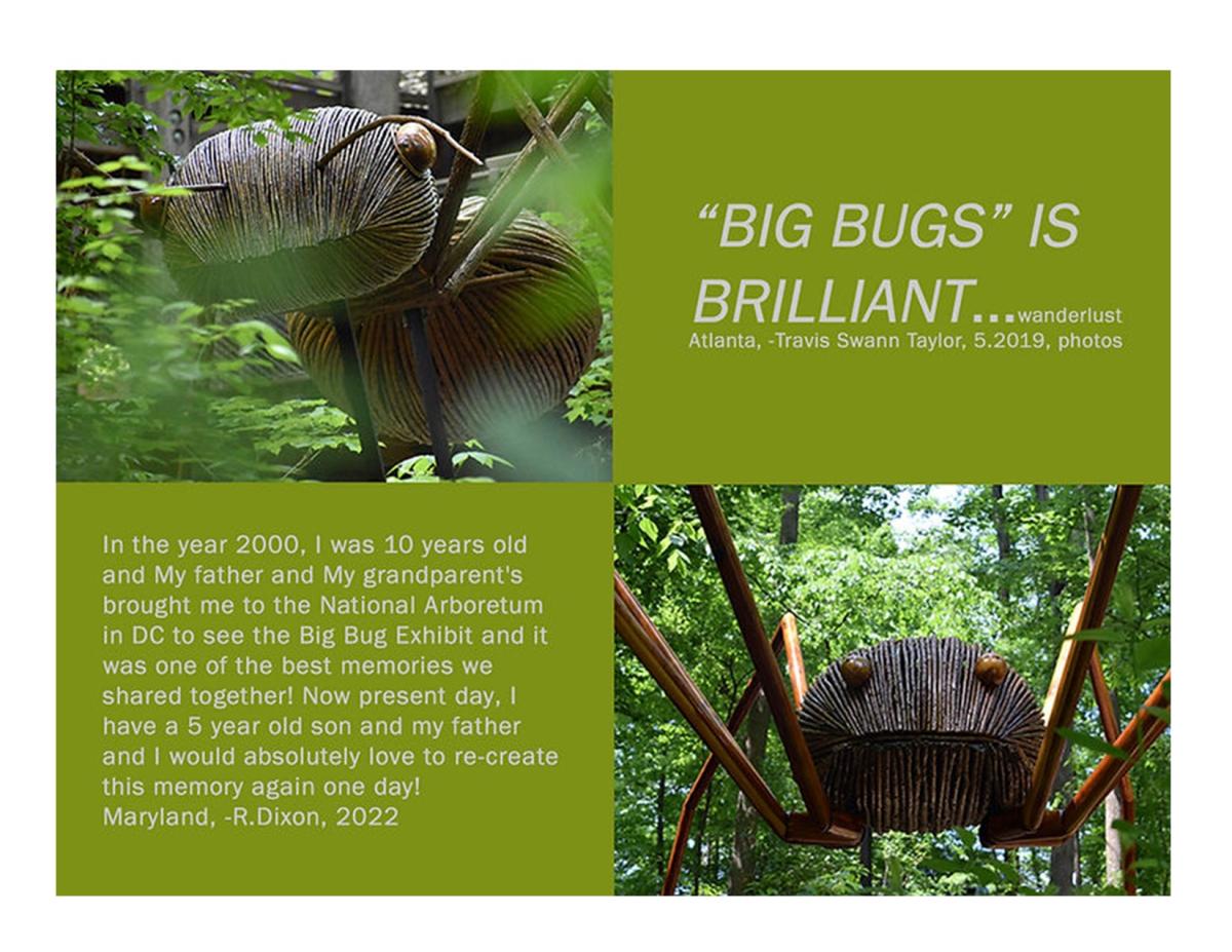 David Rogers' Big Bug Pollinators