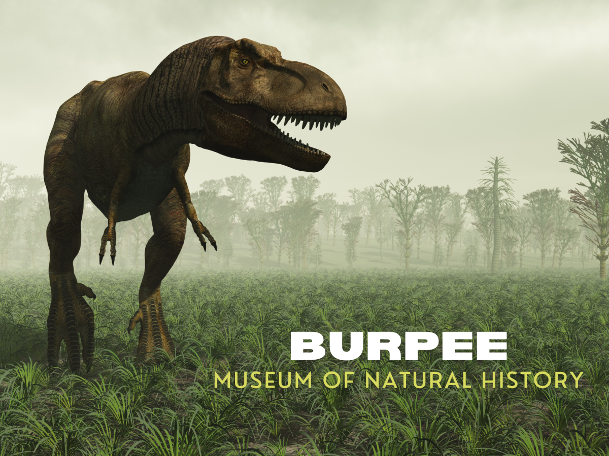 Burpee Museum