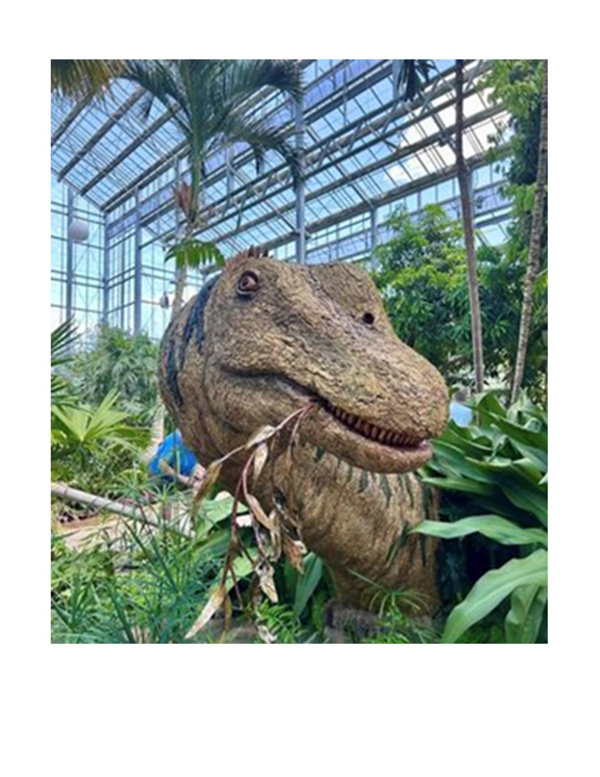 dinos of the forgotten forest