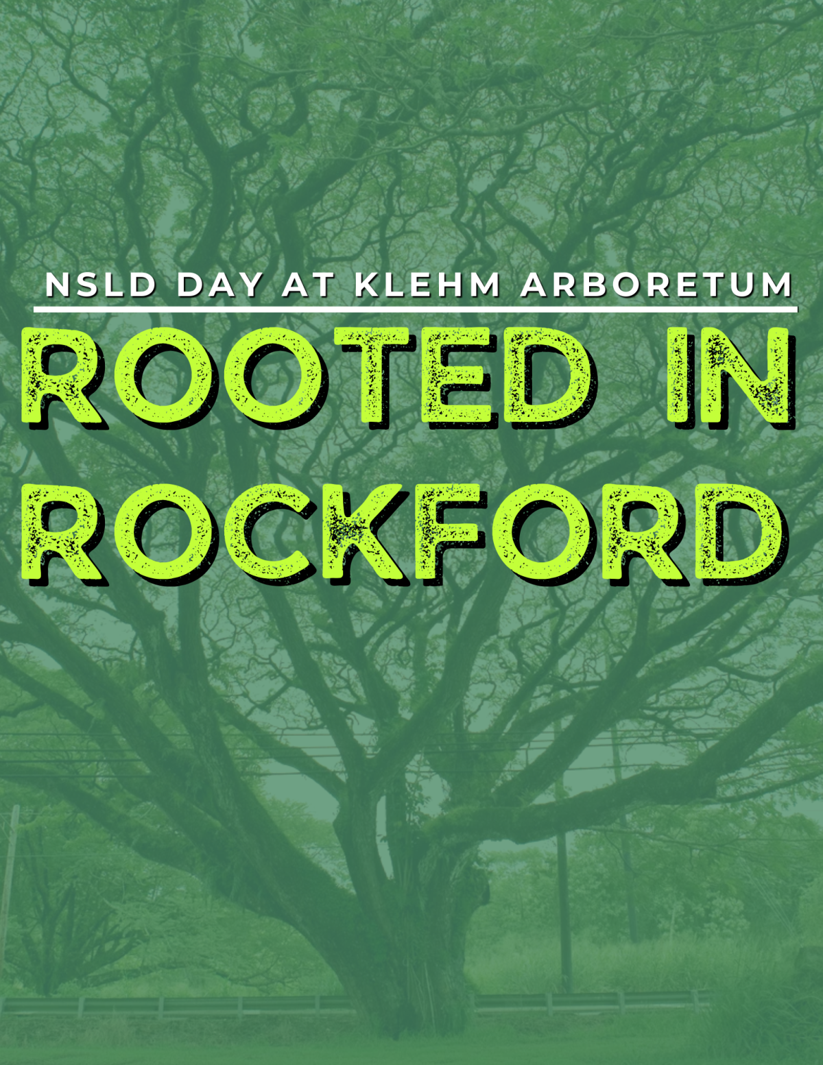 Rooted in Rockford