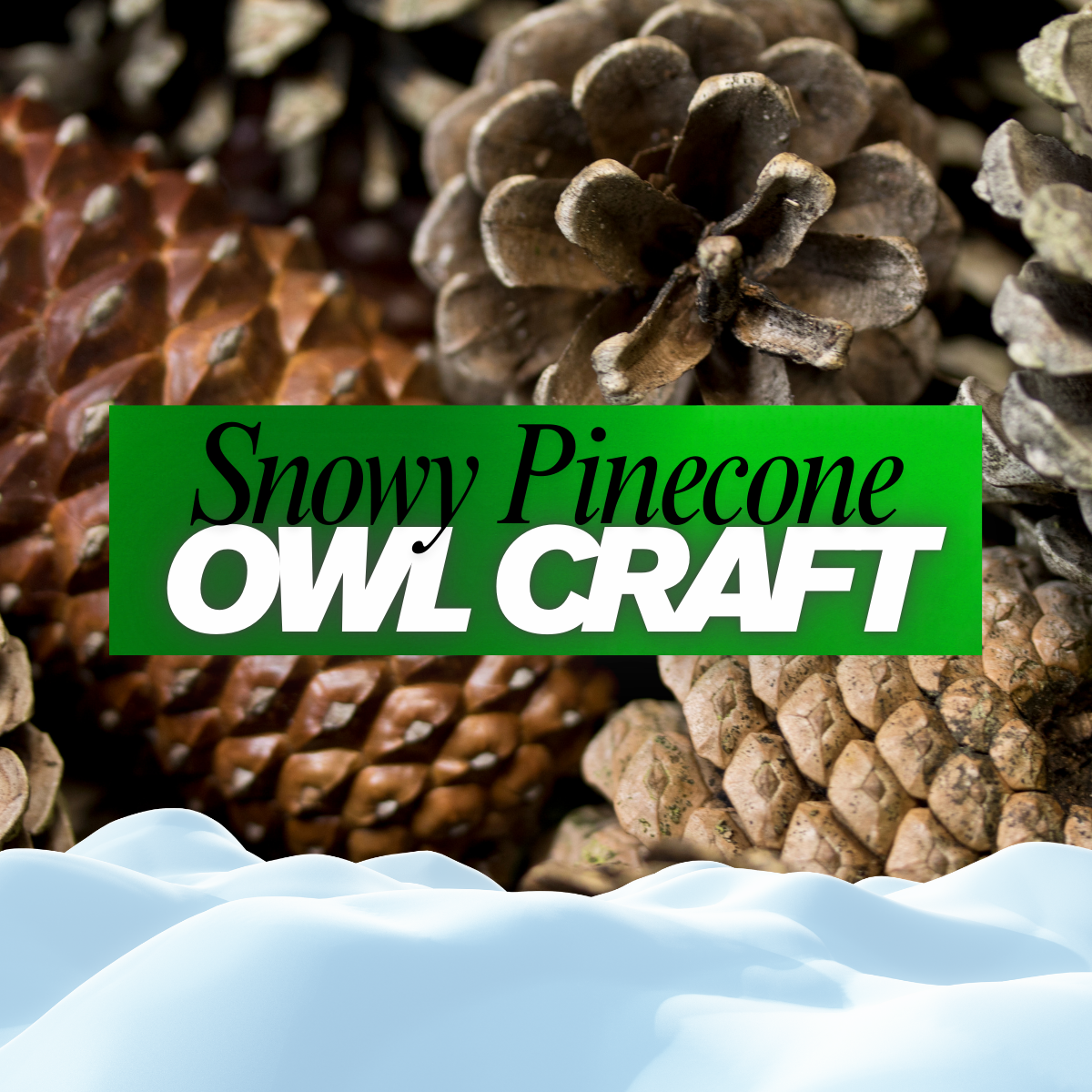Pinecone Craft